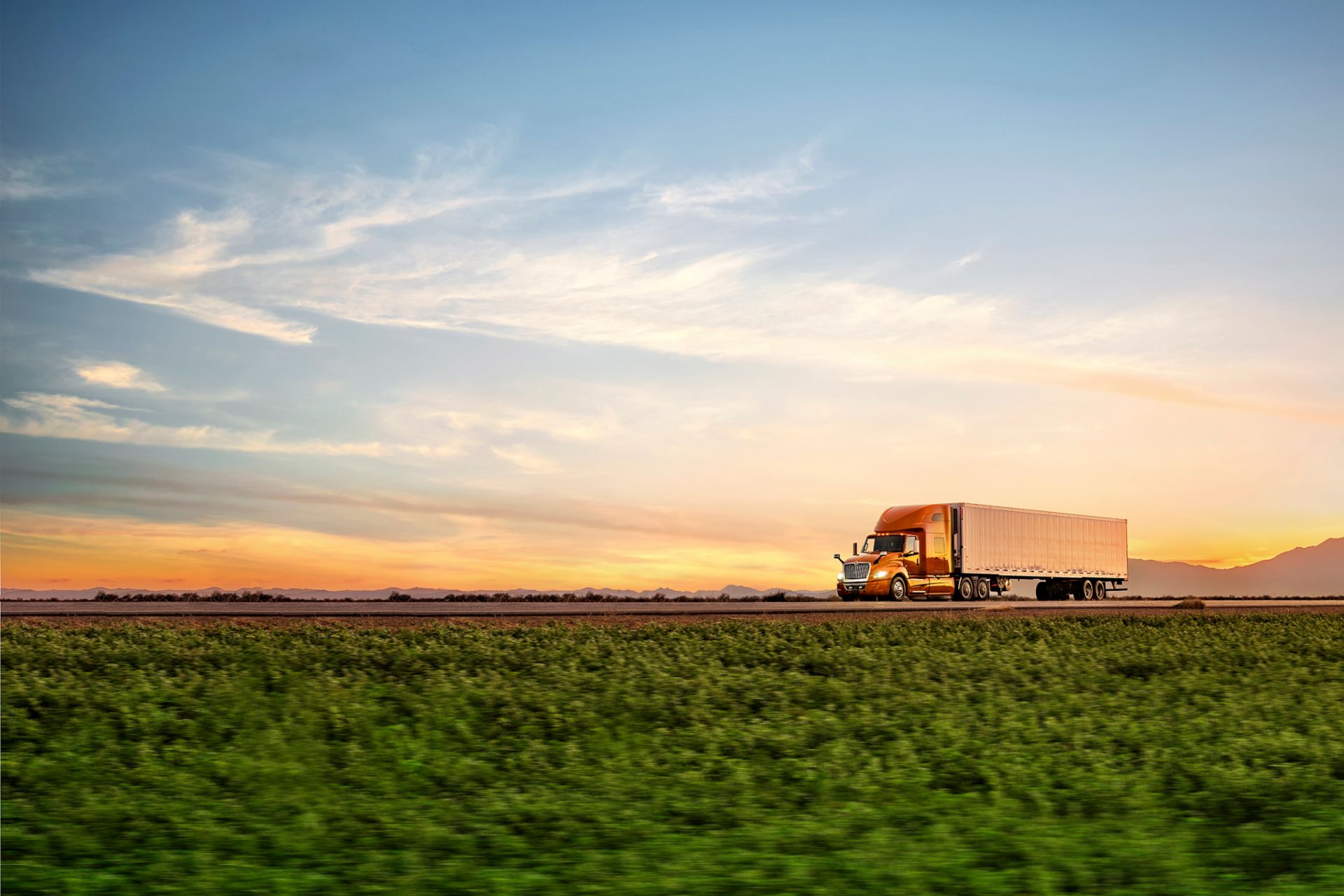 Navistar truck driving in the US desert
                     